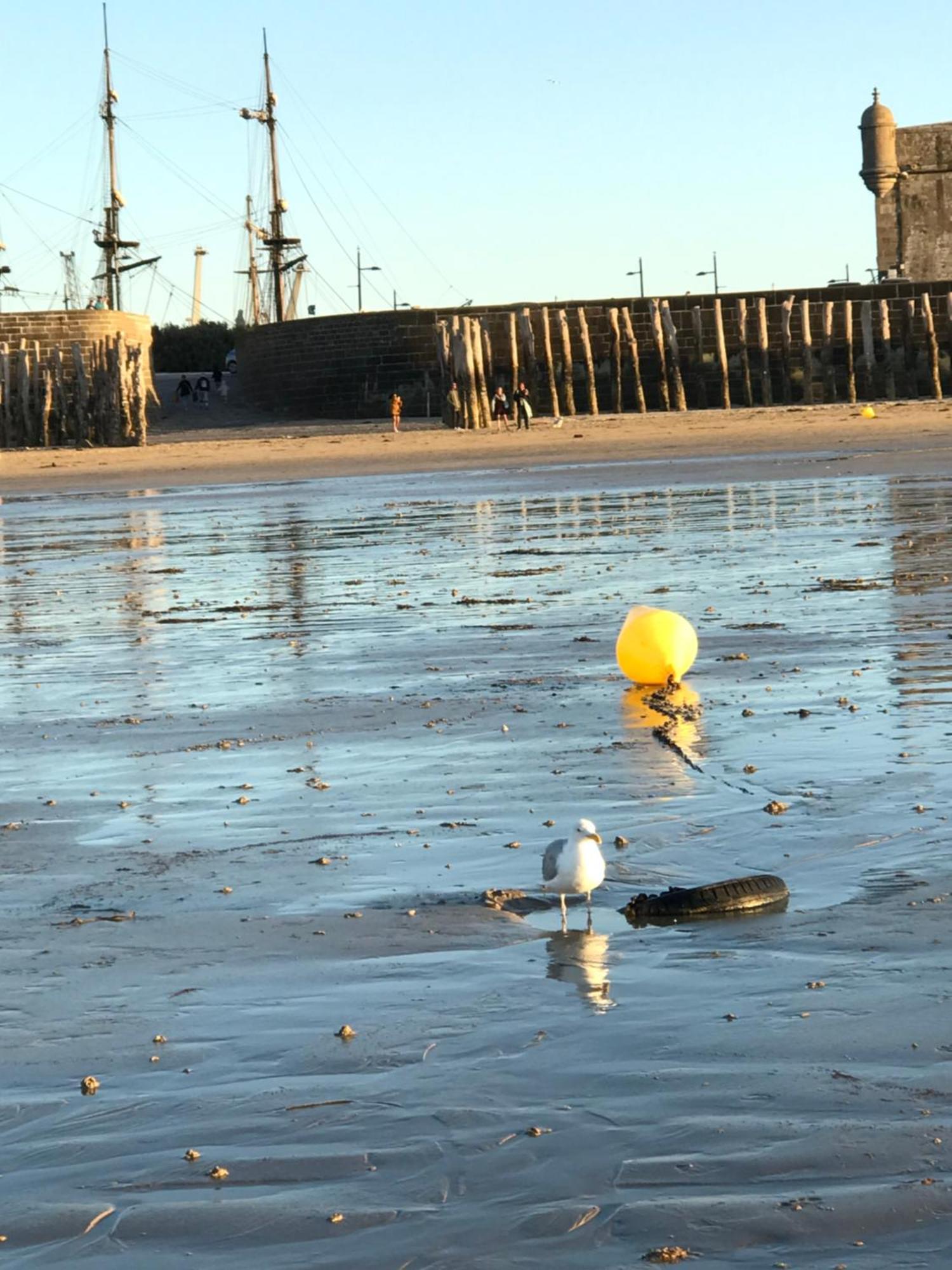 Grand Bretagne Malo Intra Muros * Saint-Malo